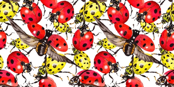 Egzotik uğur böceği vahşi böcek desen suluboya tarzında.