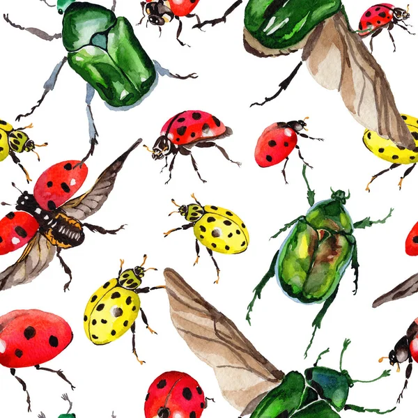 Egzotik uğur böceği vahşi böcek desen suluboya tarzında.