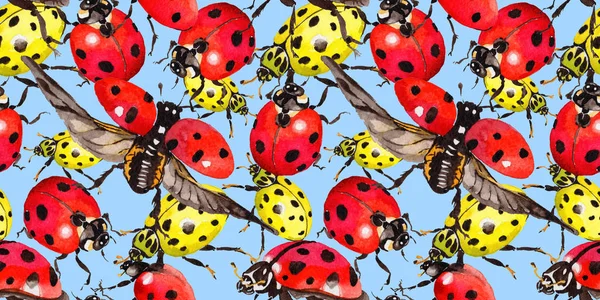 Egzotik uğur böceği vahşi böcek desen suluboya tarzında.