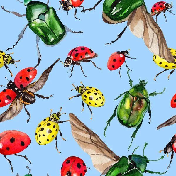 Exotic ladybug wild insect pattern in a watercolor style. — Stock Photo, Image