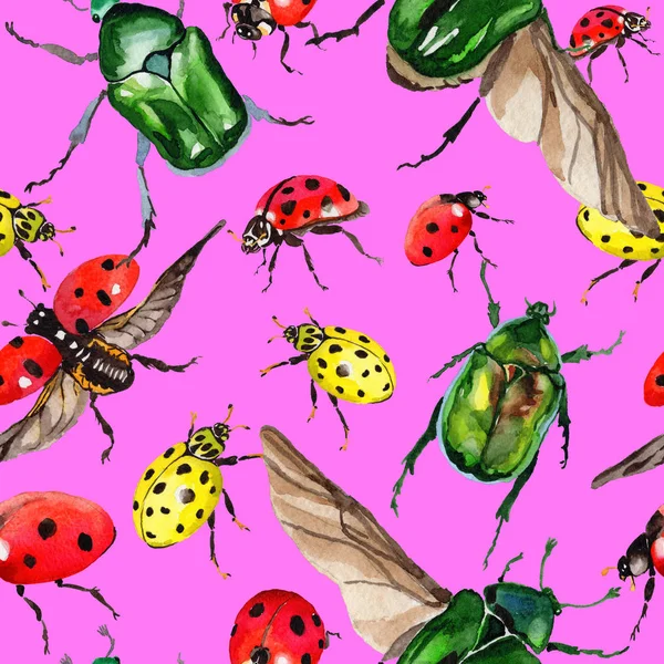 Egzotik uğur böceği vahşi böcek desen suluboya tarzında.