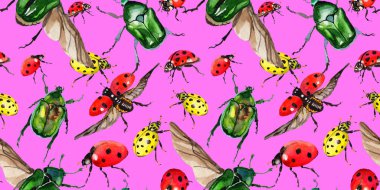 Egzotik uğur böceği vahşi böcek desen suluboya tarzında.