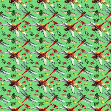 Egzotik uğur böceği vahşi böcek desen suluboya tarzında.