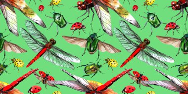 Egzotik uğur böceği vahşi böcek desen suluboya tarzında.