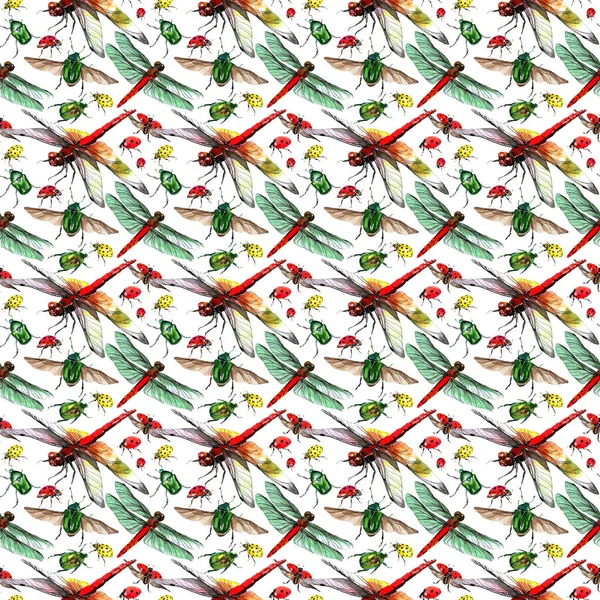 Coccinella esotica modello di insetto selvatico in stile acquerello . — Foto Stock