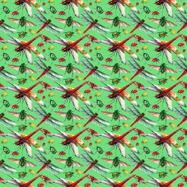 Egzotik uğur böceği vahşi böcek desen suluboya tarzında.