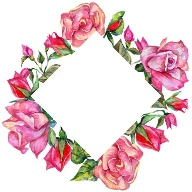 Kır çiçeği rosa çiçek çerçeve suluboya tarzında.