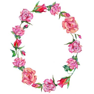 Kır çiçeği rosa çiçek çelenk suluboya tarzında.