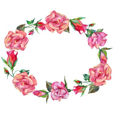 Kır çiçeği rosa çiçek çelenk suluboya tarzında.