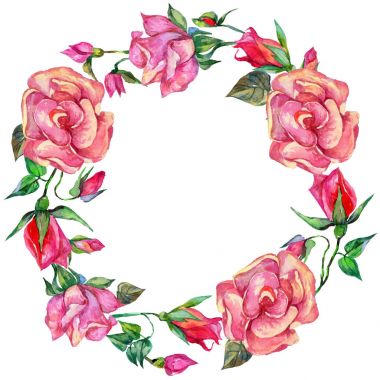 Kır çiçeği rosa çiçek çelenk suluboya tarzında.