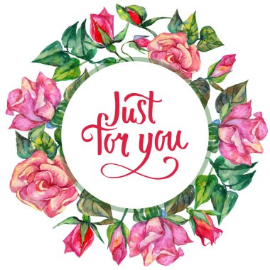 Kır çiçeği rosa çiçek çerçeve suluboya tarzında.