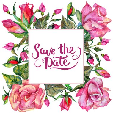 Kır çiçeği rosa çiçek çerçeve suluboya tarzında.