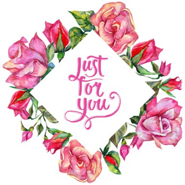 Kır çiçeği rosa çiçek çerçeve suluboya tarzında.