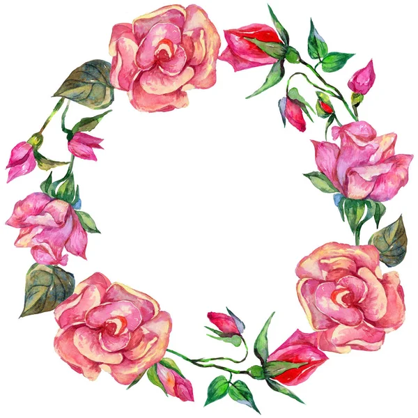 Couronne de fleurs de rosa de fleur sauvage dans un style aquarelle . — Photo