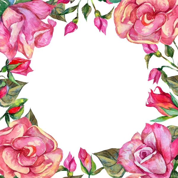 Wildflower rosa flower frame in a watercolor style. — Stock Photo, Image