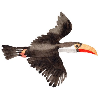 Gökyüzü kuş toucan suluboya Style izole bir yaban hayatı içinde.