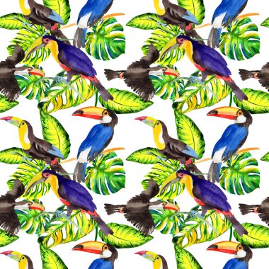 Gökyüzü kuş toucan desende bir yaban hayatı suluboya stili tarafından.
