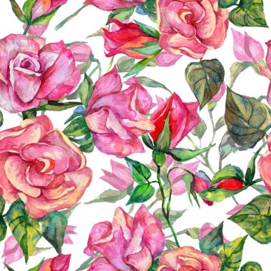 Kır çiçeği rosa çiçek deseni suluboya tarzında.