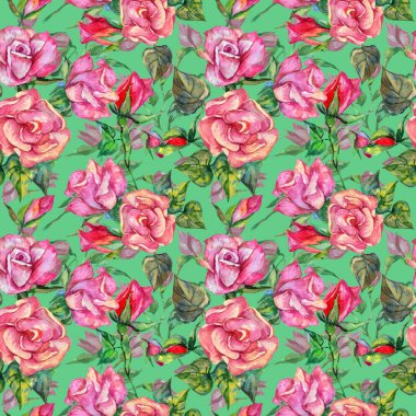 Kır çiçeği rosa çiçek deseni suluboya tarzında.