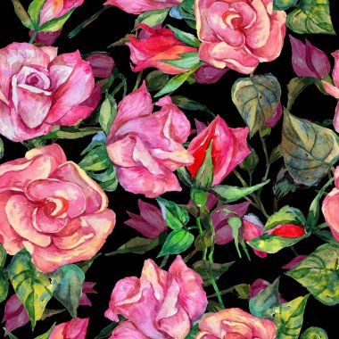 Kır çiçeği rosa çiçek deseni suluboya tarzında.