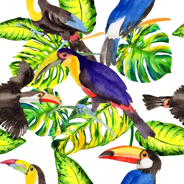 Gökyüzü kuş toucan desende bir yaban hayatı suluboya stili tarafından.