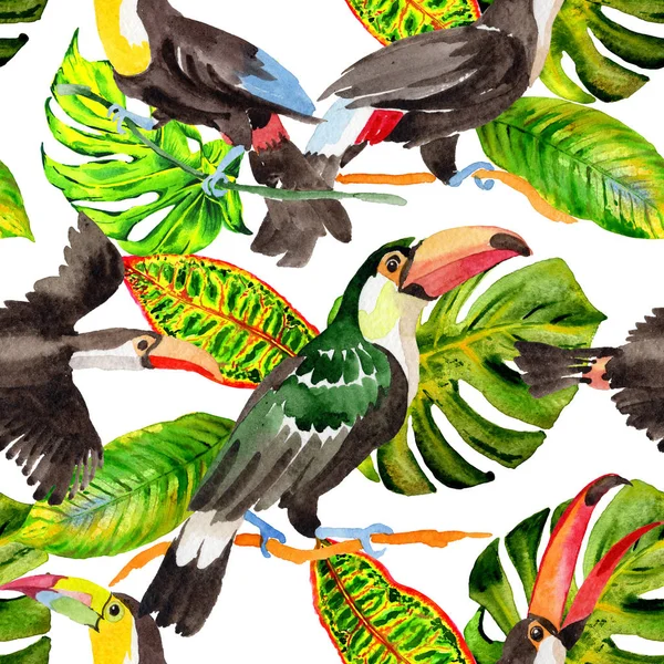 Sky fågel toucan mönster i ett djurliv av akvarell stil. — Stockfoto