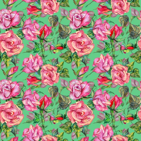 Kır çiçeği rosa çiçek deseni suluboya tarzında.