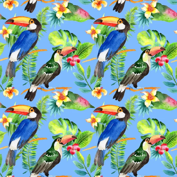 Sky vogel toucan patroon in een fauna door aquarel stijl. — Stockfoto