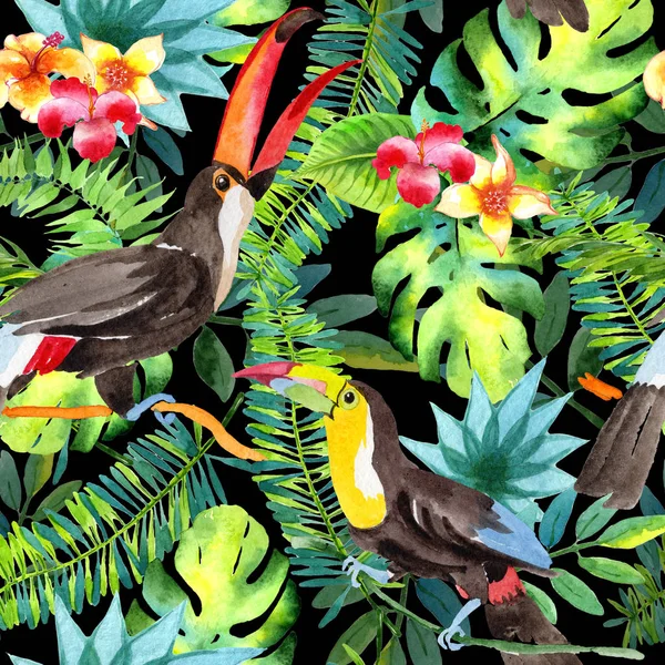Patrón de tucán de pájaro cielo en una vida silvestre por estilo acuarela . —  Fotos de Stock