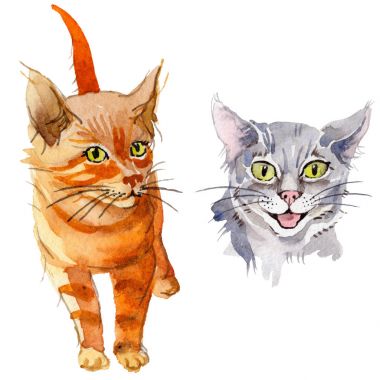 Kedi vahşi hayvan izole bir suluboya tarzında.