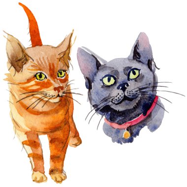 Kedi vahşi hayvan izole bir suluboya tarzında.