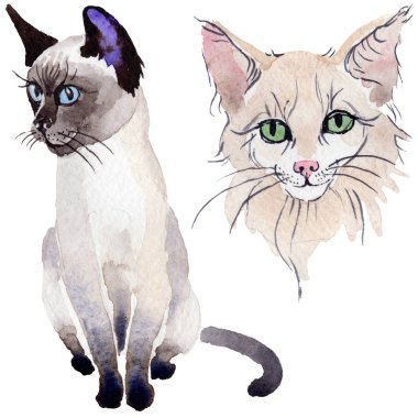 Kedi vahşi hayvan izole bir suluboya tarzında.