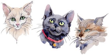 Kedi vahşi hayvan izole bir suluboya tarzında.