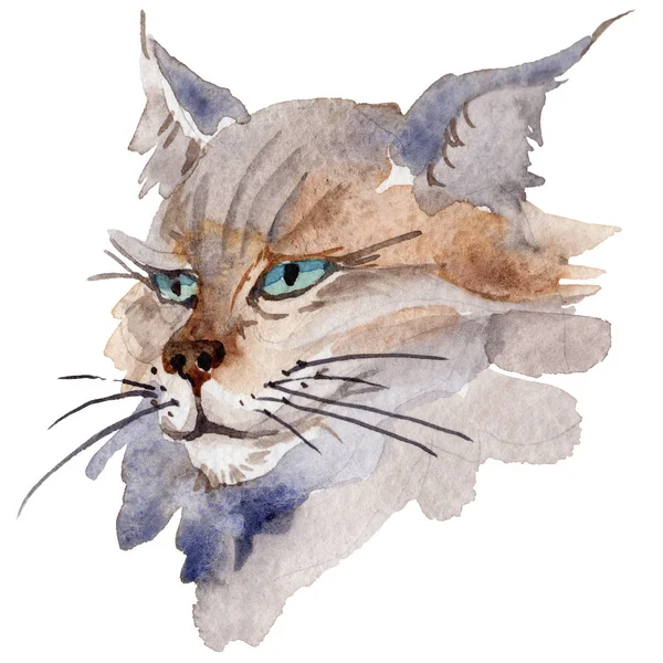 Katt vilda djur i akvarell stil isolerade. — Stockfoto