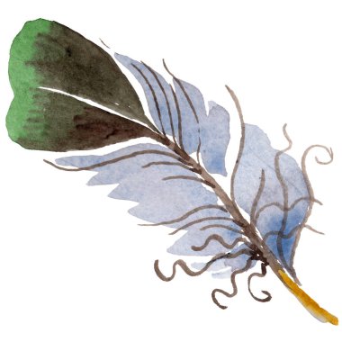 Suluboya kuş tüyü izole kanat üzerinden.