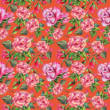 Kır çiçeği rosa çiçek deseni suluboya tarzında.