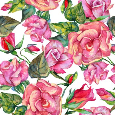 Kır çiçeği rosa çiçek deseni suluboya tarzında.