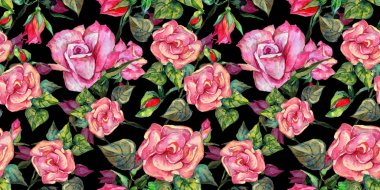 Kır çiçeği rosa çiçek deseni suluboya tarzında.