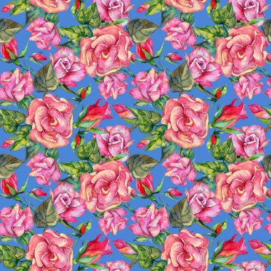 Kır çiçeği rosa çiçek deseni suluboya tarzında.