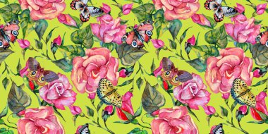 Kır çiçeği rosa çiçek deseni suluboya tarzında.