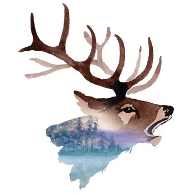 Ren geyiği vahşi hayvan izole bir suluboya tarzında.