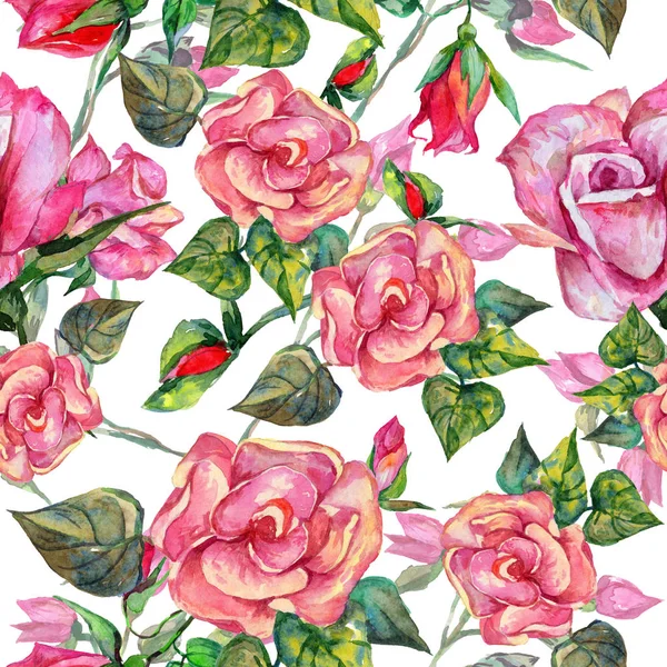 Kır çiçeği rosa çiçek deseni suluboya tarzında.