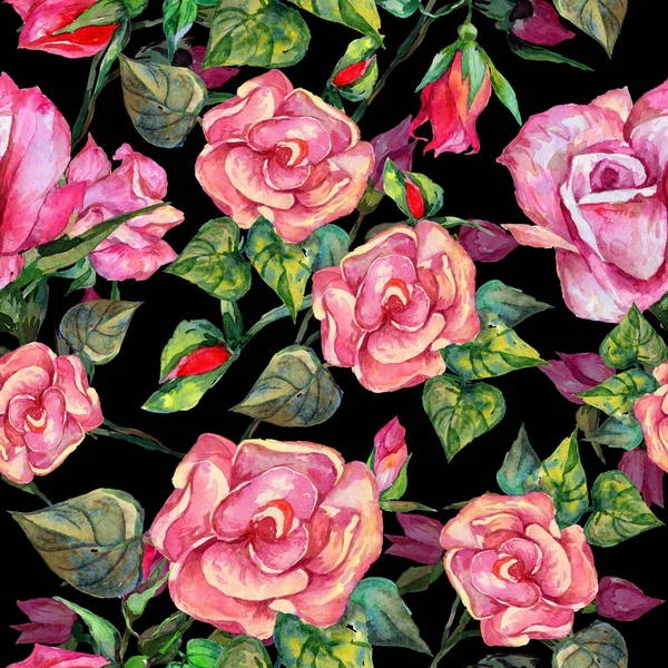 Motif de fleur de rosa de fleur sauvage dans un style aquarelle . — Photo