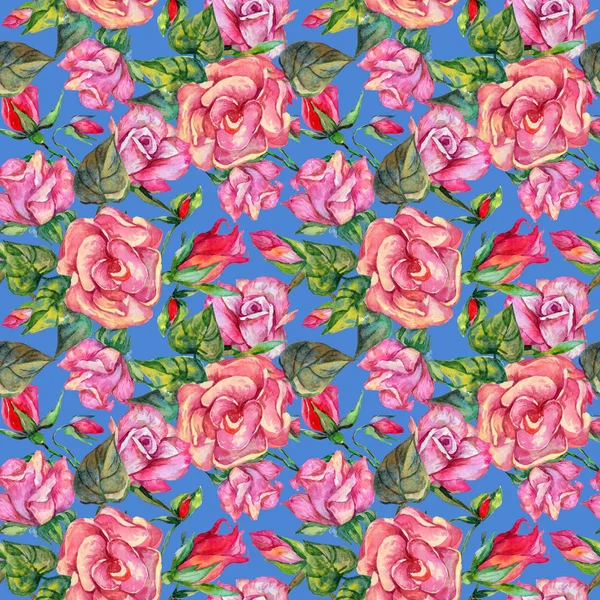 Kır çiçeği rosa çiçek deseni suluboya tarzında.