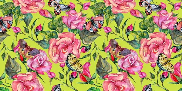 Kır çiçeği rosa çiçek deseni suluboya tarzında.