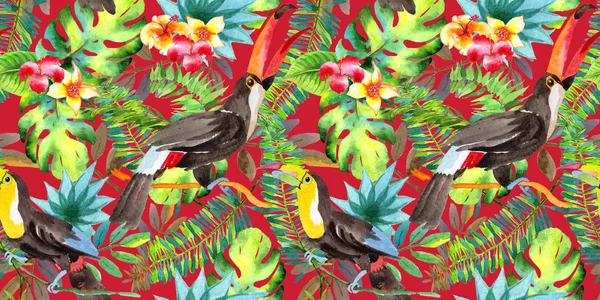 Sky bird toucan  pattern in a wildlife by watercolor style. — Stock Photo, Image