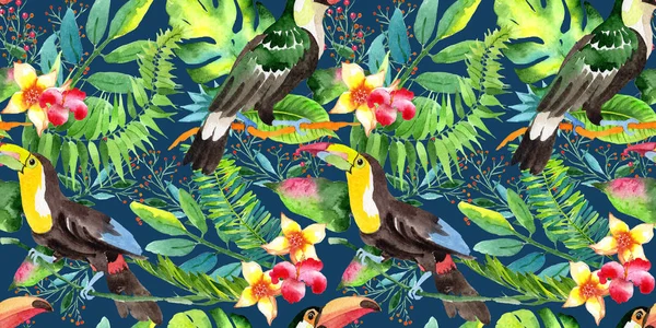 Sky bird toucan  pattern in a wildlife by watercolor style. — Stock Photo, Image