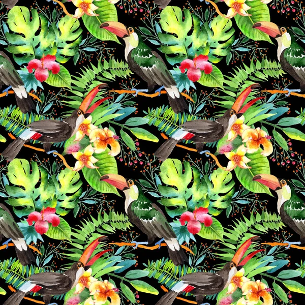 Sky bird toucan  pattern in a wildlife by watercolor style. — Stock Photo, Image