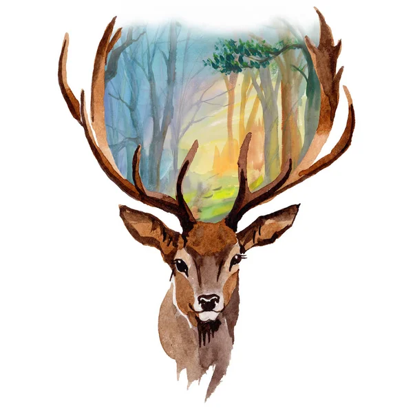 Ren geyiği vahşi hayvan izole bir suluboya tarzında.