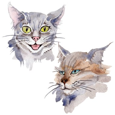 Kedi vahşi hayvan izole bir suluboya tarzında.